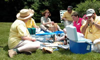 High Meadow Grounds with Picnickers